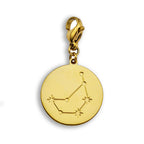 ZODIAC CONSTELLATION Double Sided Charm
